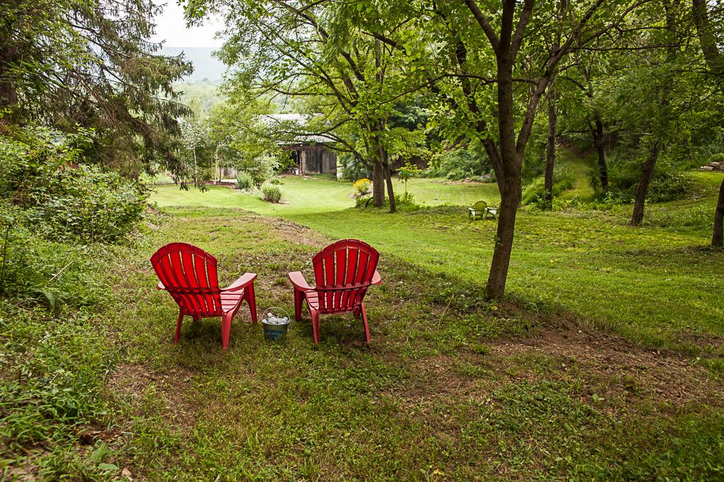 Grounds with red chairs among the trees